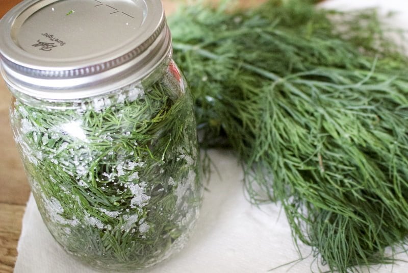 How To Preserve Herbs In Salt For Winter The Bossy Kitchen