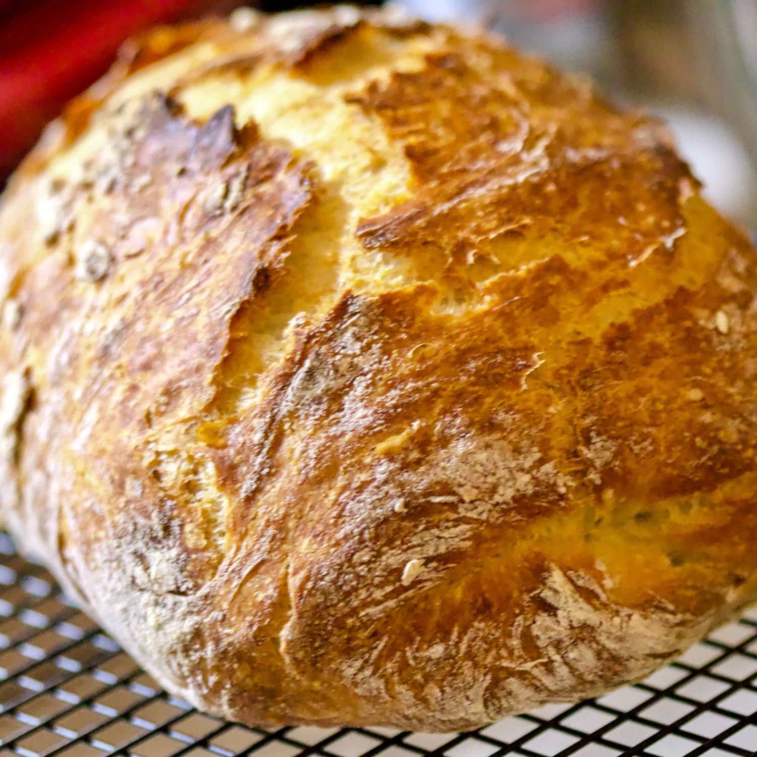 No Knead BreadThe Simple Way To Make Delicious Bread