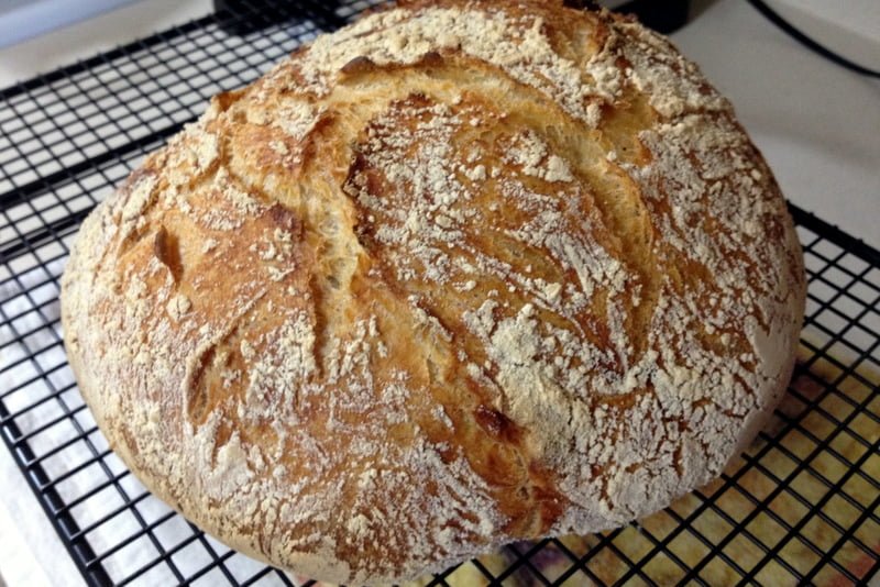 No knead bread18 No knead bread