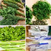 How To Freeze Herbs Collage of images.