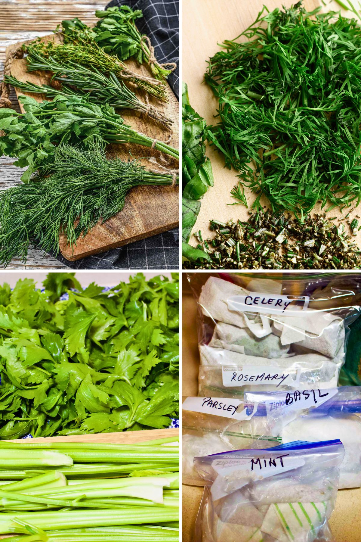 How to freeze herbs for winter- an easy tutorial to help you preserve some of your favorite herbs for the cold season. How To Freeze Herbs For Winter Collage of images.