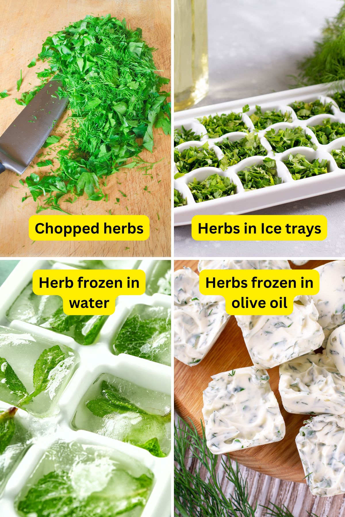 How to freeze herbs in ice trays.