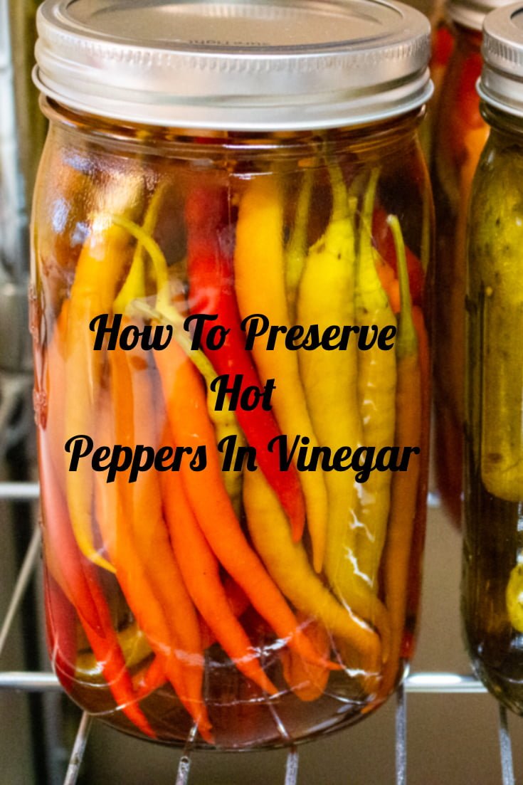 How To Preserve Hot Peppers In Vinegar