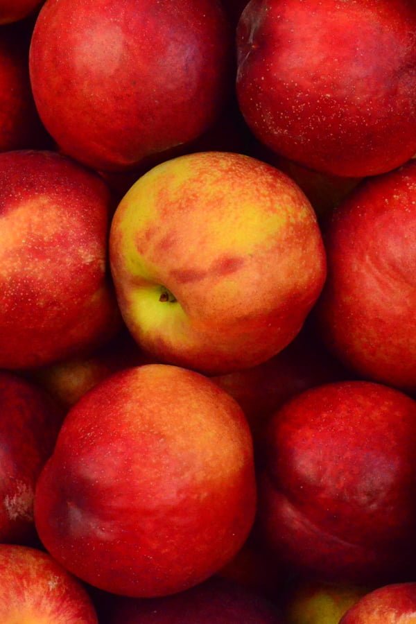 apples apples