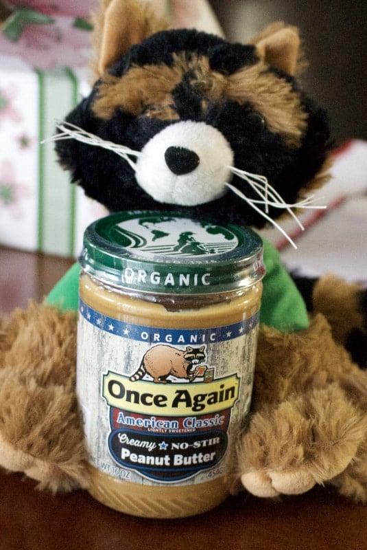 stuffed animal raccoon with jar of peanut butter