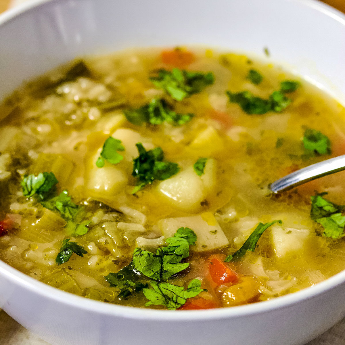 Leeks and rice soup