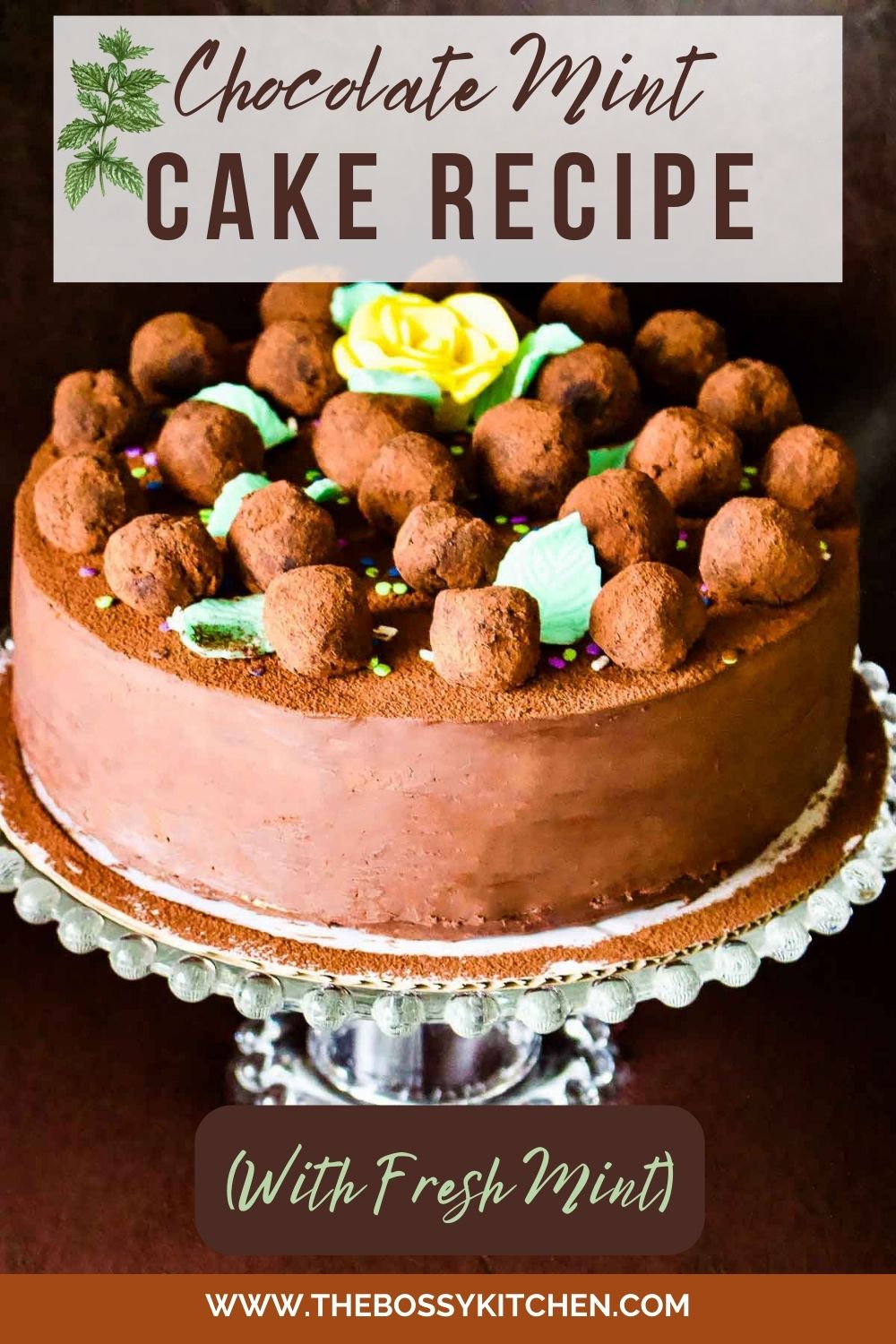 Chocolate Mint Cake Recipe Pinterest