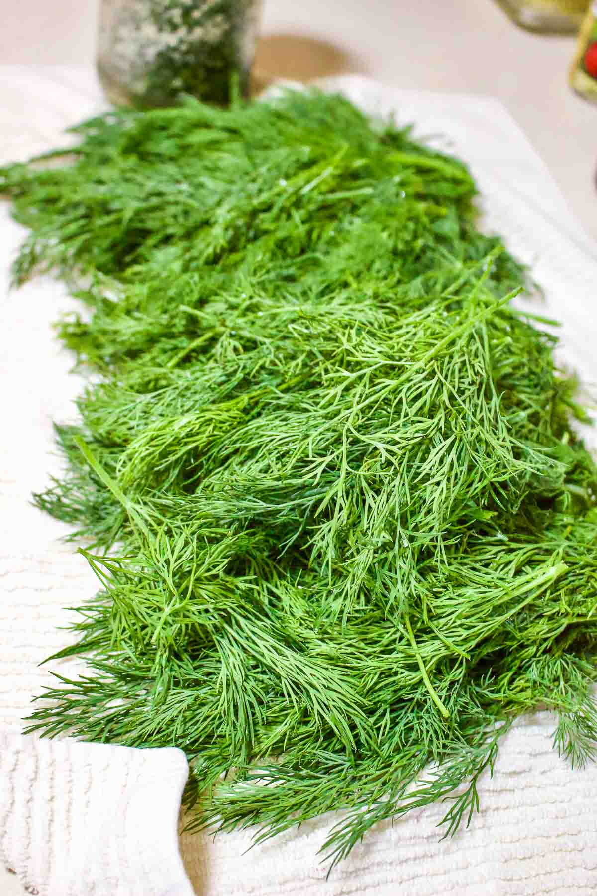 How To Salt Preserve Herbs For Winter-This is the easiest method for preserving herbs you grow in the garden. The leaves will stay fresh for months. Dill prepared for canning.