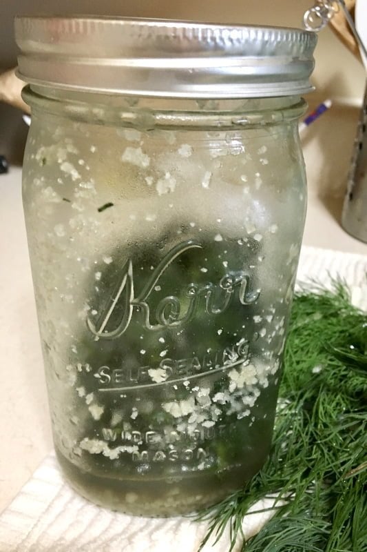 How To Salt Preserve Herbs For Winter-part of the process