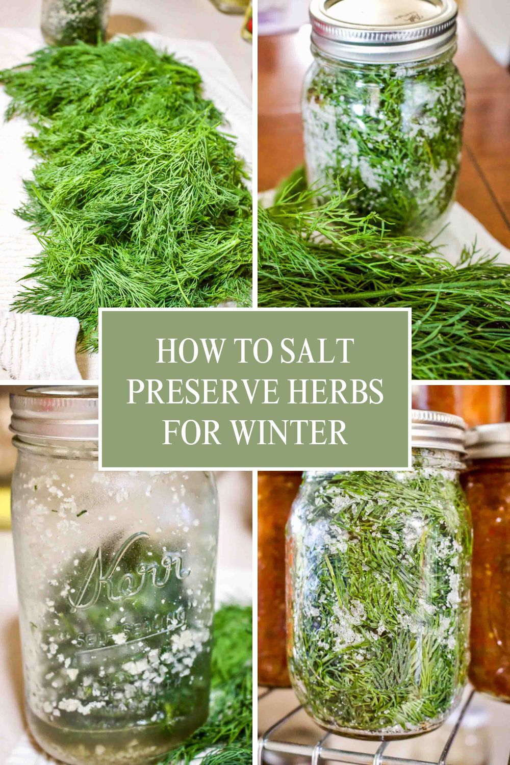 how to salt preserve herbs for winter How To Salt Preserve Herbs For Winter Pinterest Collage.