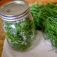 How To Salt Preserve Herbs For Winter1