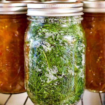 Jar of Herbs Preserved In Salt.