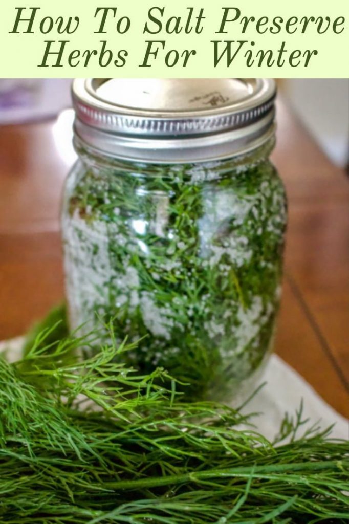 how to salt preserve herbs for winter- featured picture