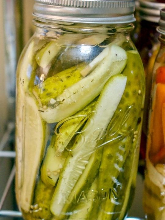Jar of pickled cucumbers 
Cucumber pickle recipe