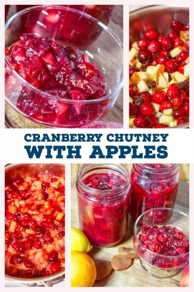 Cranberry Chutney with Apples- featured picture