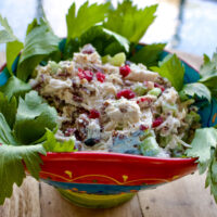Cranberry Pecan Chicken Salad Squared picture0