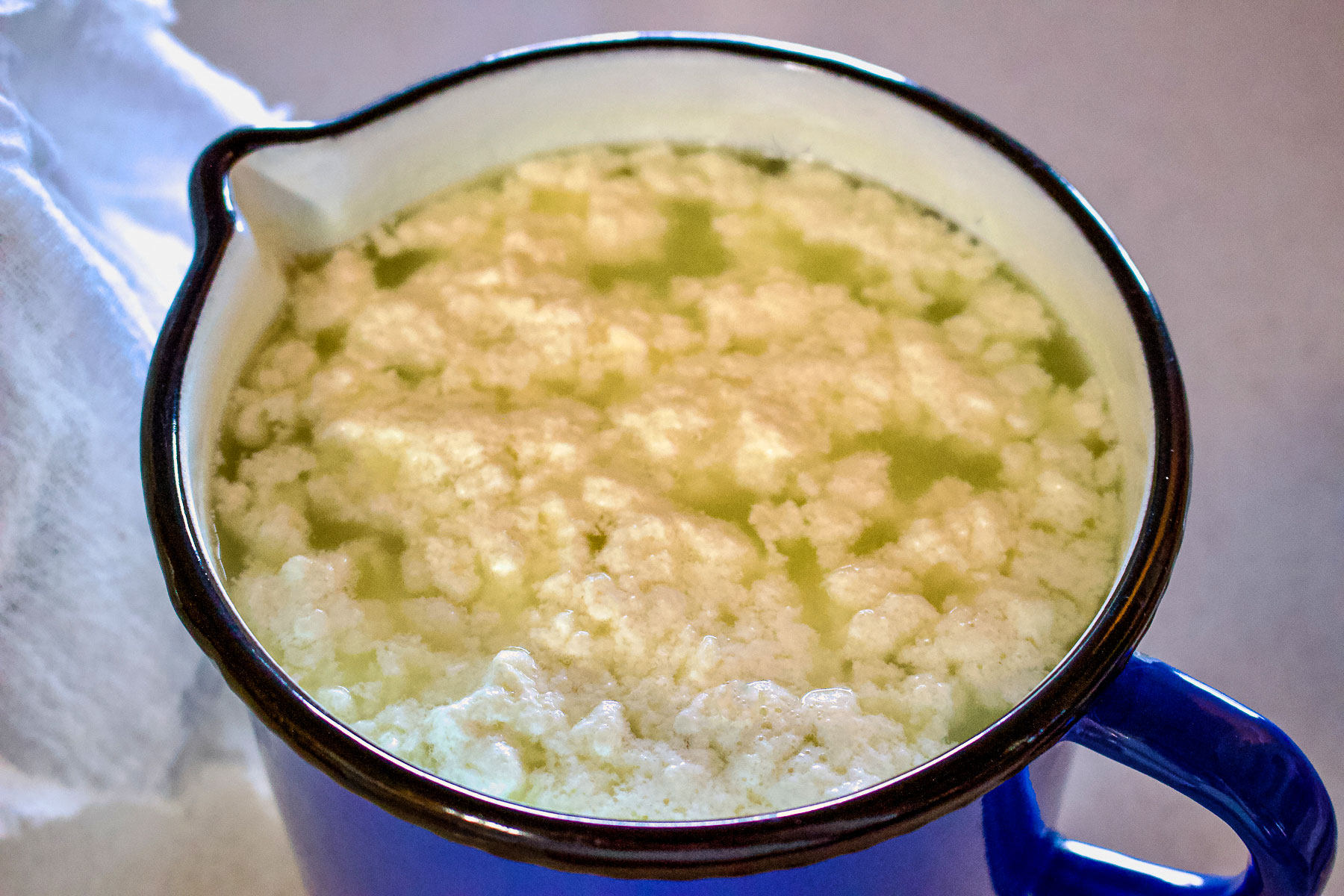 Pot with curdled milk for making cheese