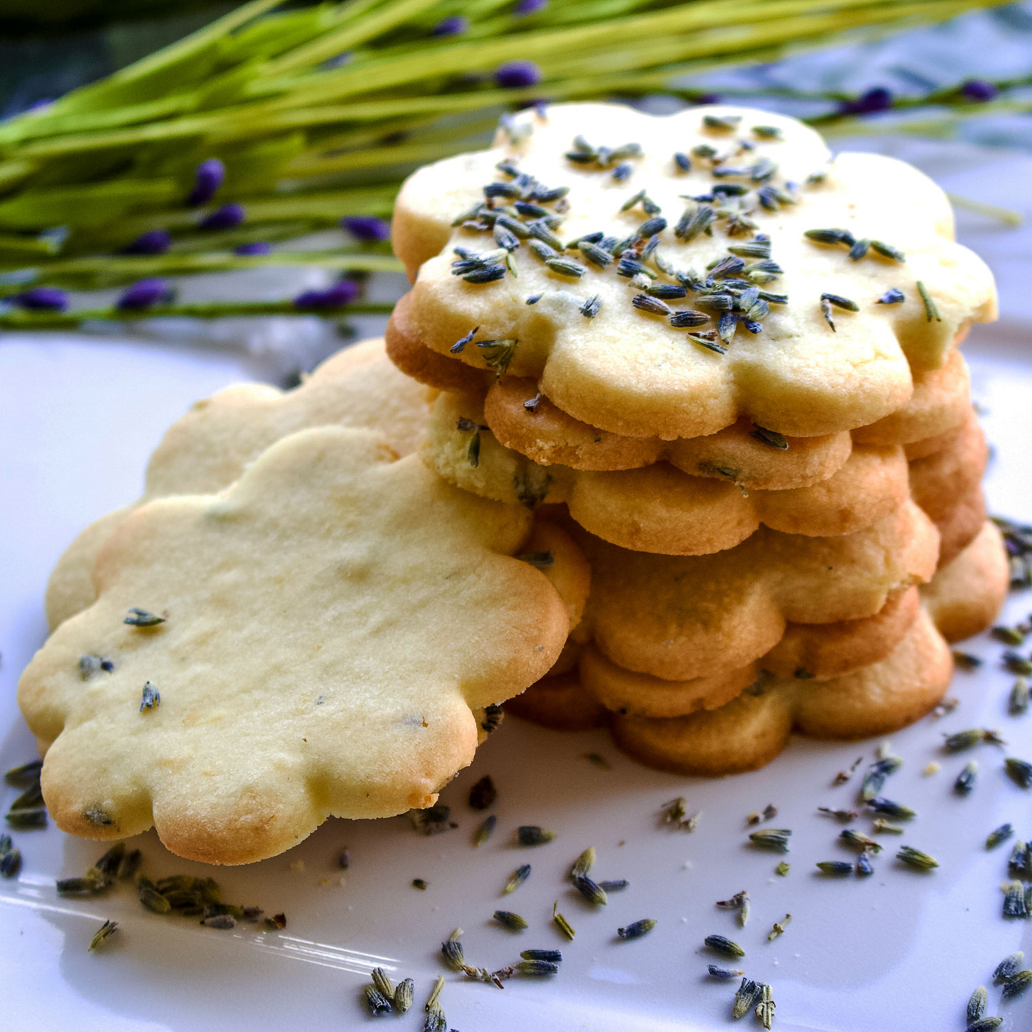 Lemon butter cookies deals