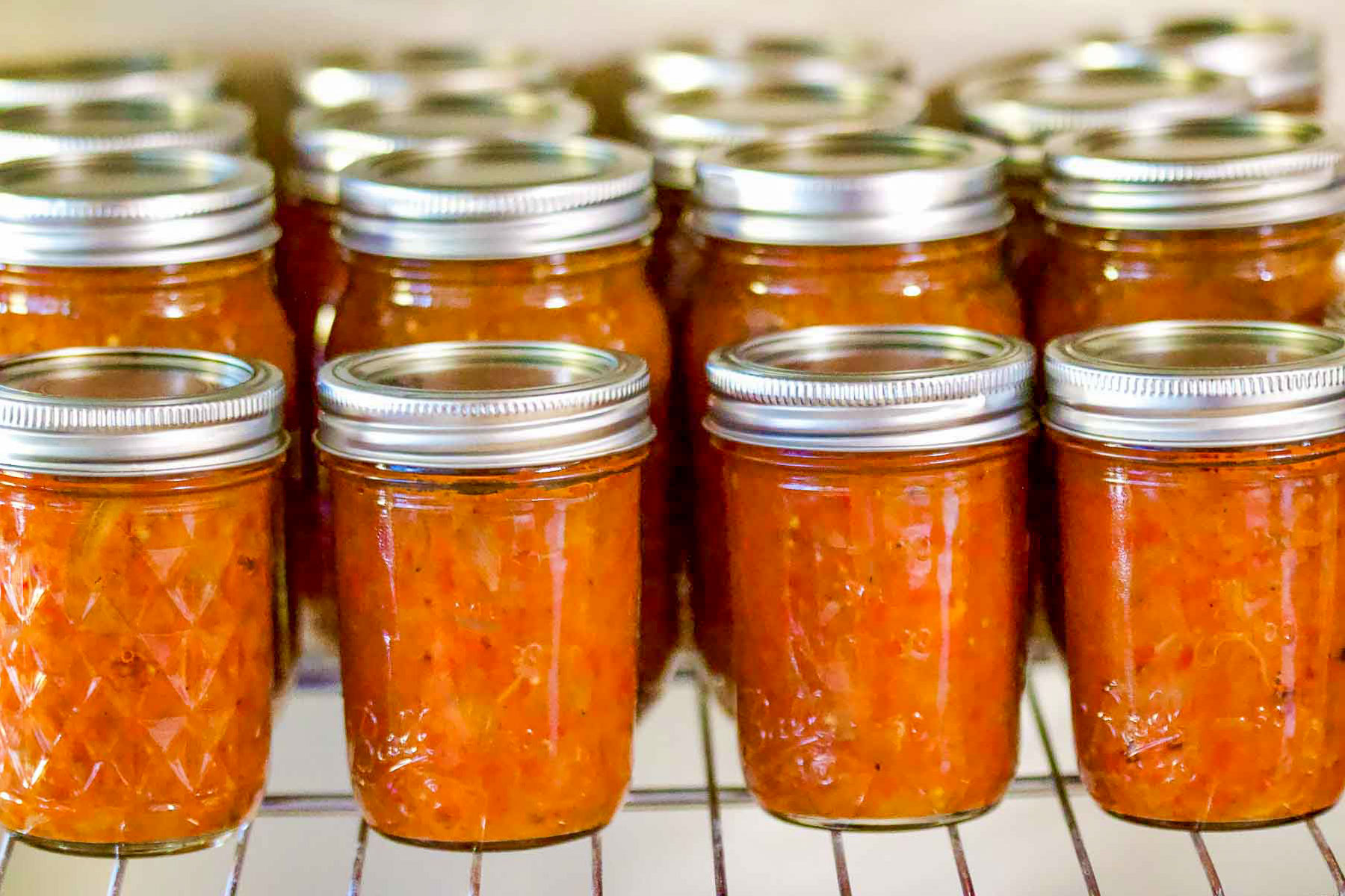 Jars filled with Zacusca vegetable spread.