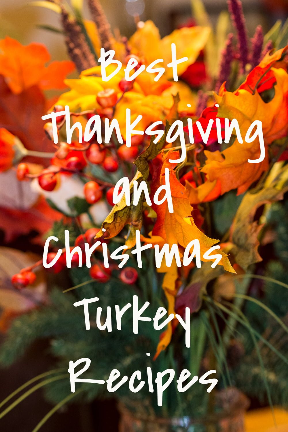 Best Thanksgiving And Christmas Turkey Recipes2 Best Thanksgiving And Christmas Turkey Recipes