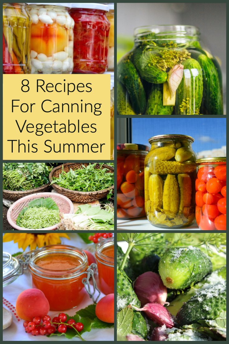 8 Recipes For Canning Vegetables This Summer- Pinterest picture