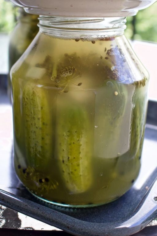 Best LactoFermented Dill Pickles The Bossy Kitchen