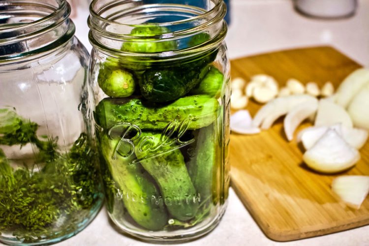 Best LactoFermented Dill Pickles The Bossy Kitchen