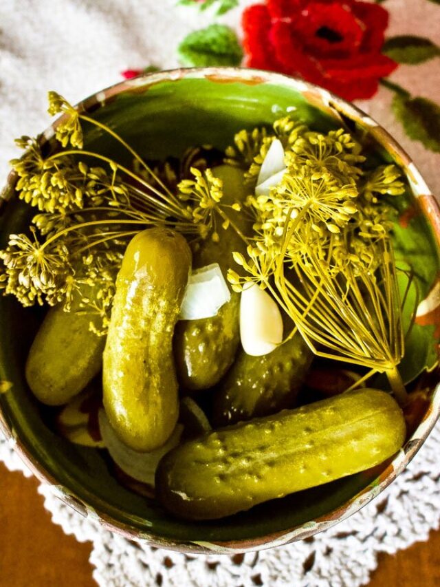 How to make LactoFermented Dill Pickles The Bossy Kitchen