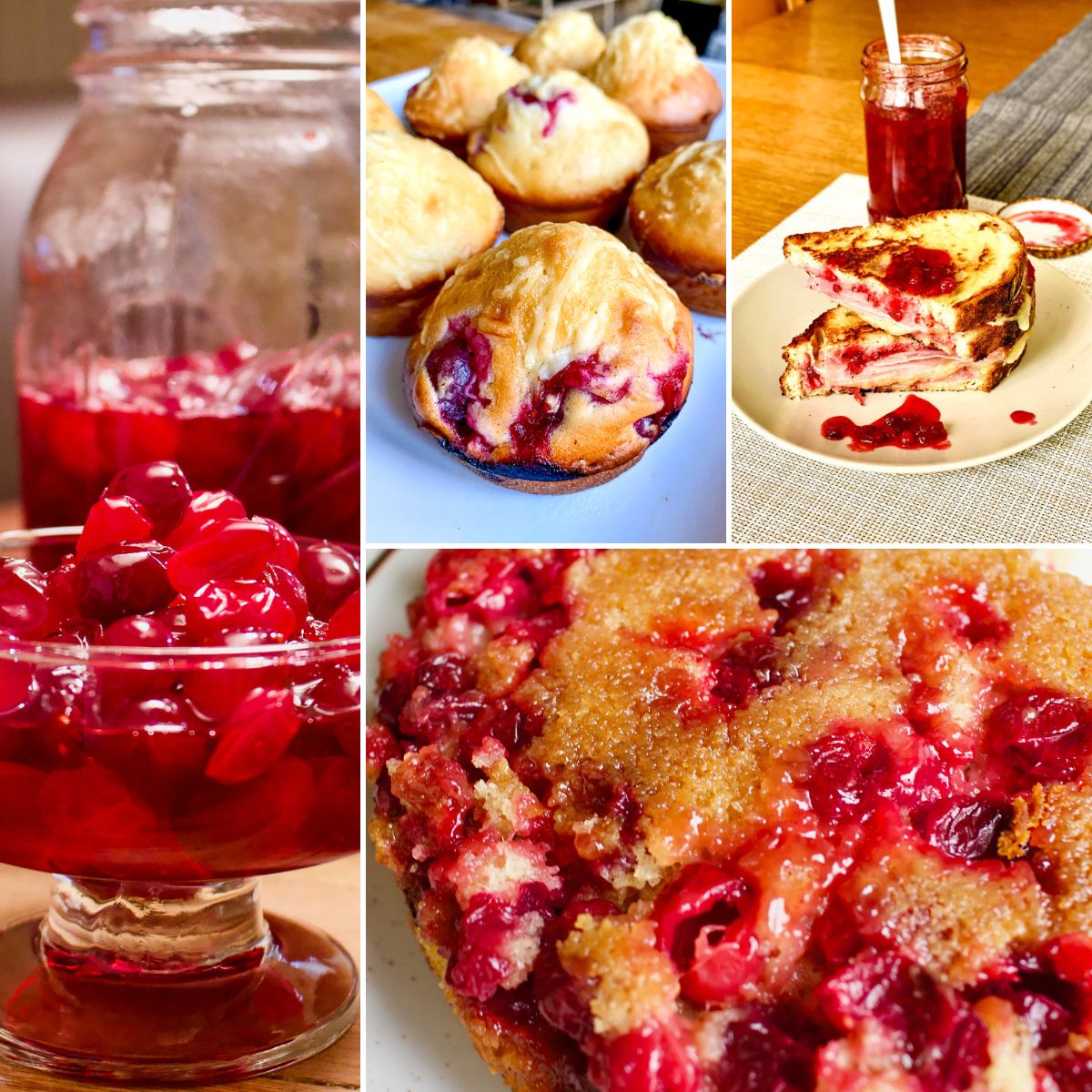 16 Sweet And Savory Cranberry Recipes The Bossy Kitchen