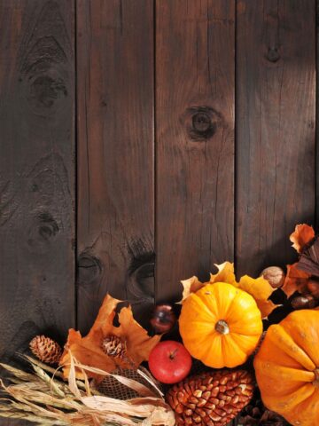 Image for Thanksgiving tools article