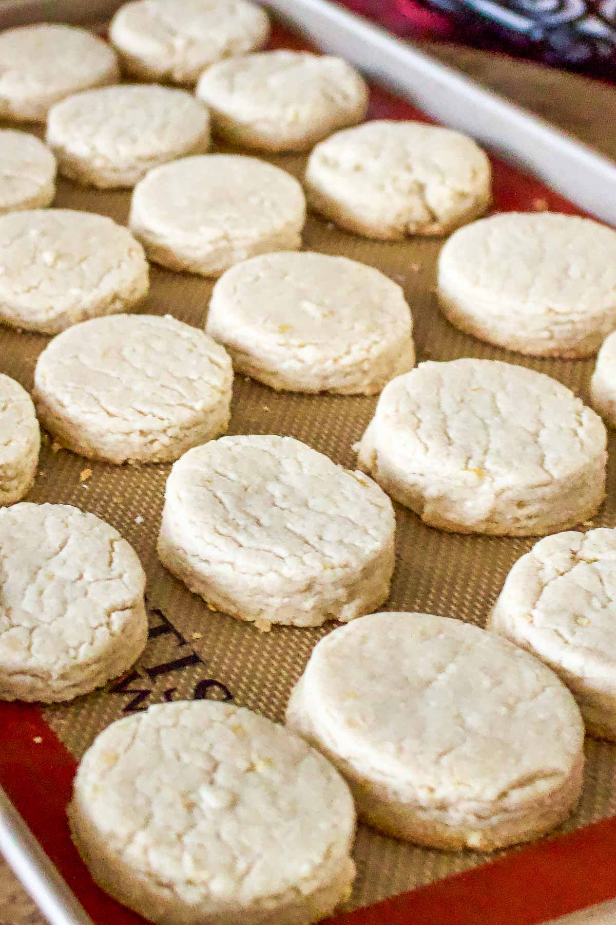 Baked polvorones in a baking tray.
