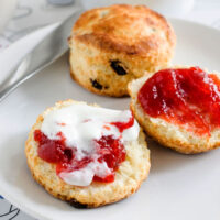 Easy delicious British style scones square