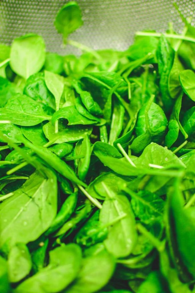 Baby Spinach- washed and ready for the salad