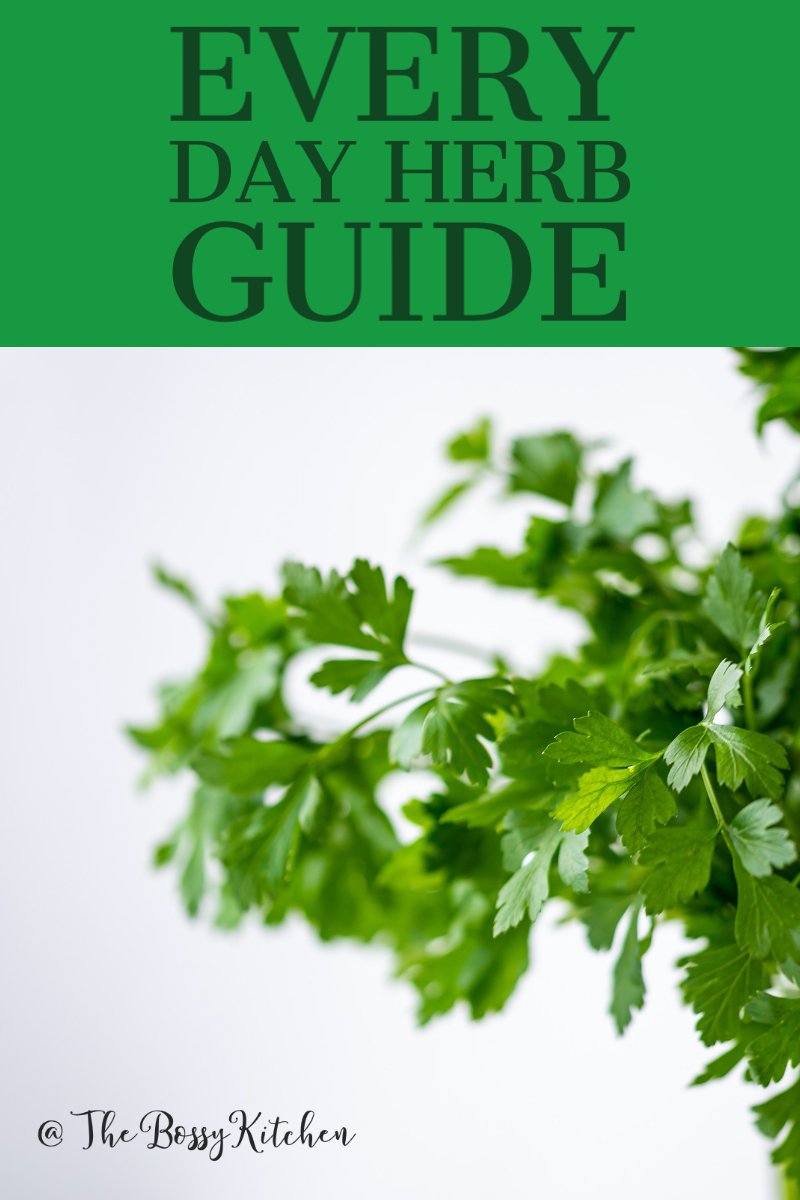 every day herb guide