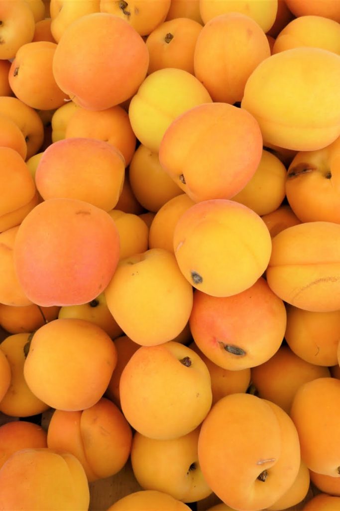 apricots