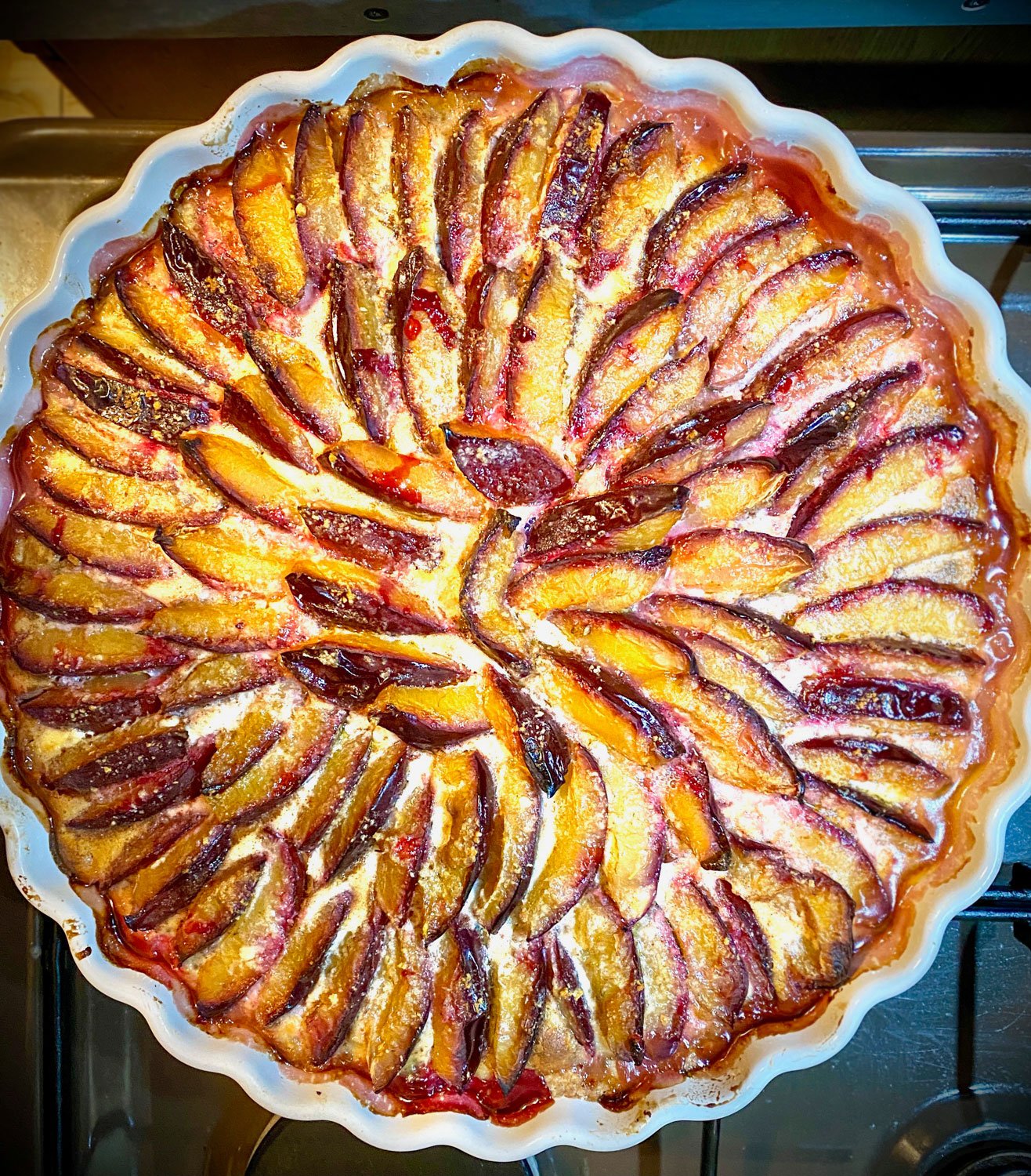 Plum tart baked- square picture of the tart