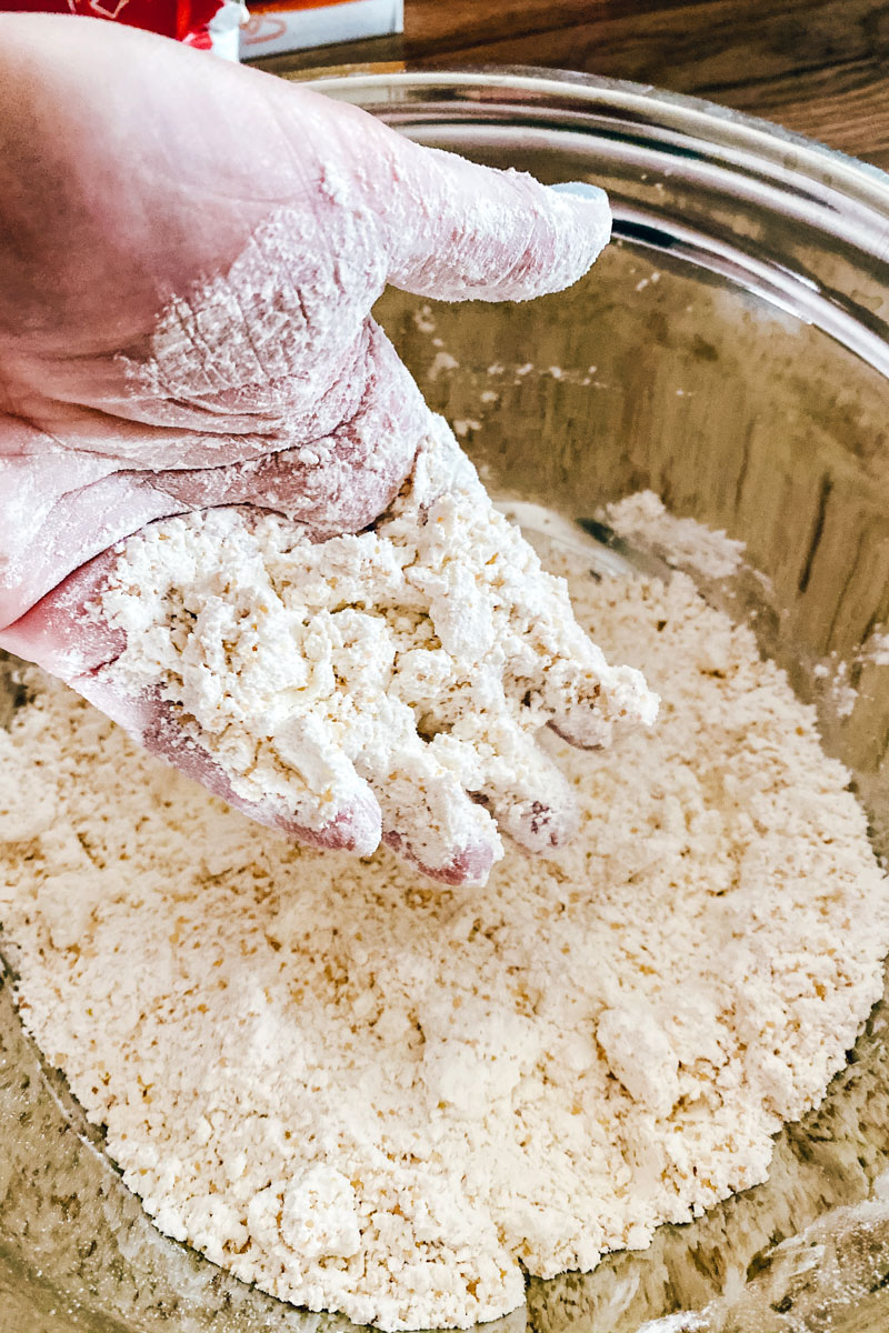 Pie crust flour and butter mixture