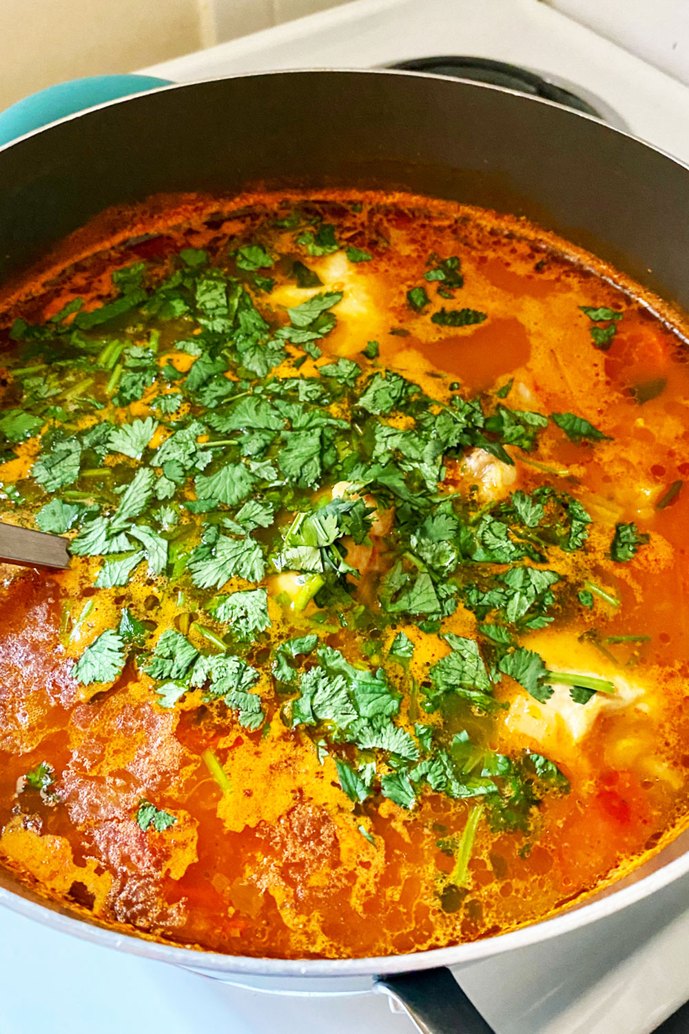 Cilantro and tomato sauce added to the soup towards the end of cooking.