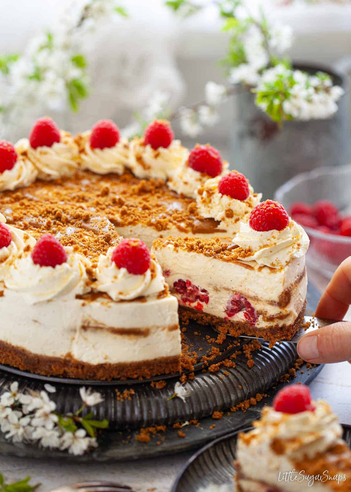 Biscoff cheesecake 5699