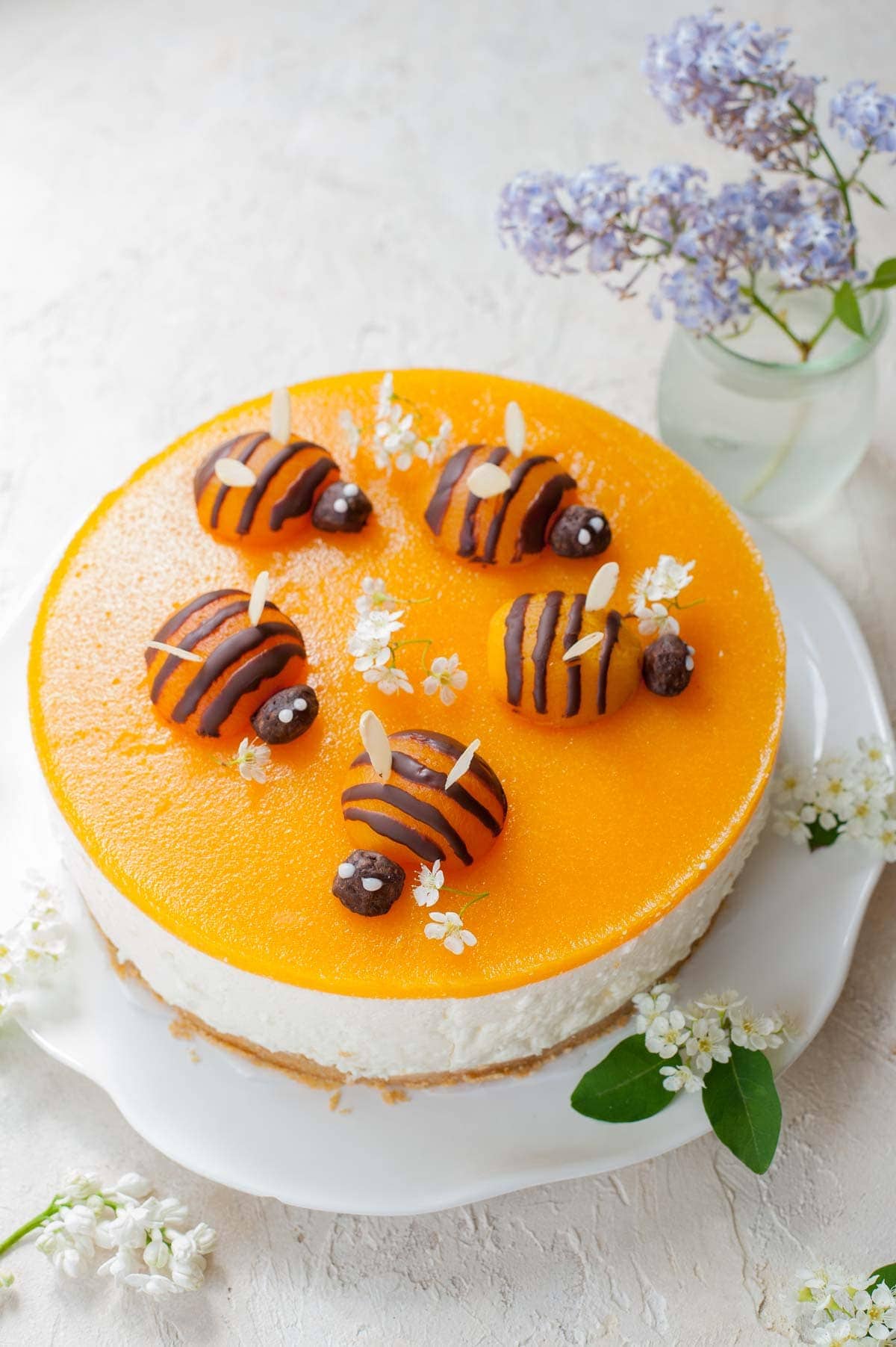 No bake Greek yogurt cheesecake Sernik bez pieczenia z jogurtow greckich everyday delicious 1