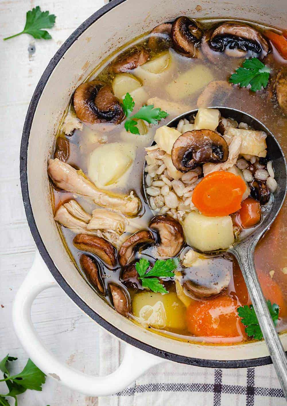 krupnik soup with root vegetables and chicken