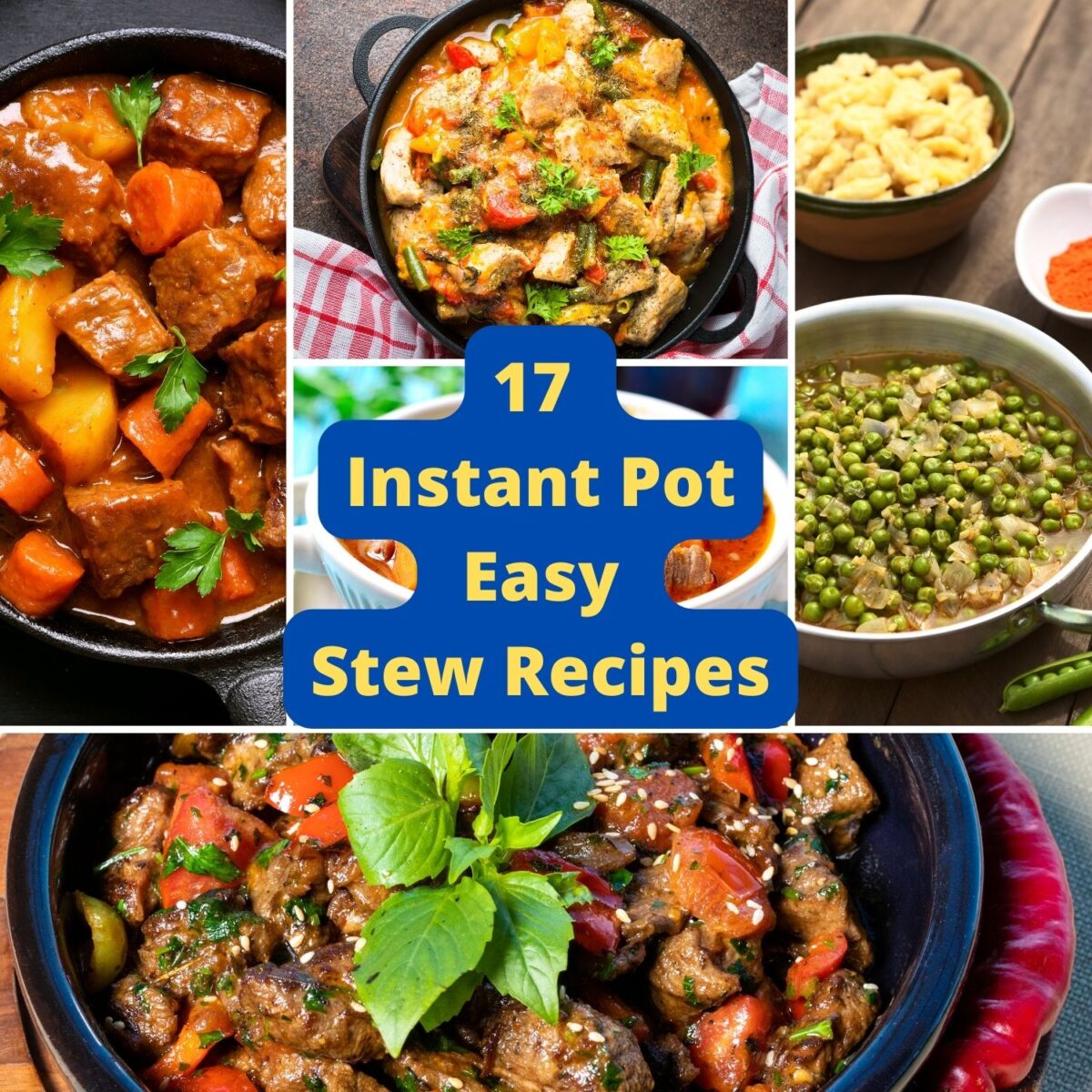 17 Instant Pot Stew Recipes- The Bossy Kitchen