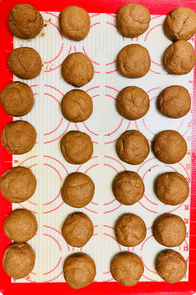 Baked cookies on the baking sheet0