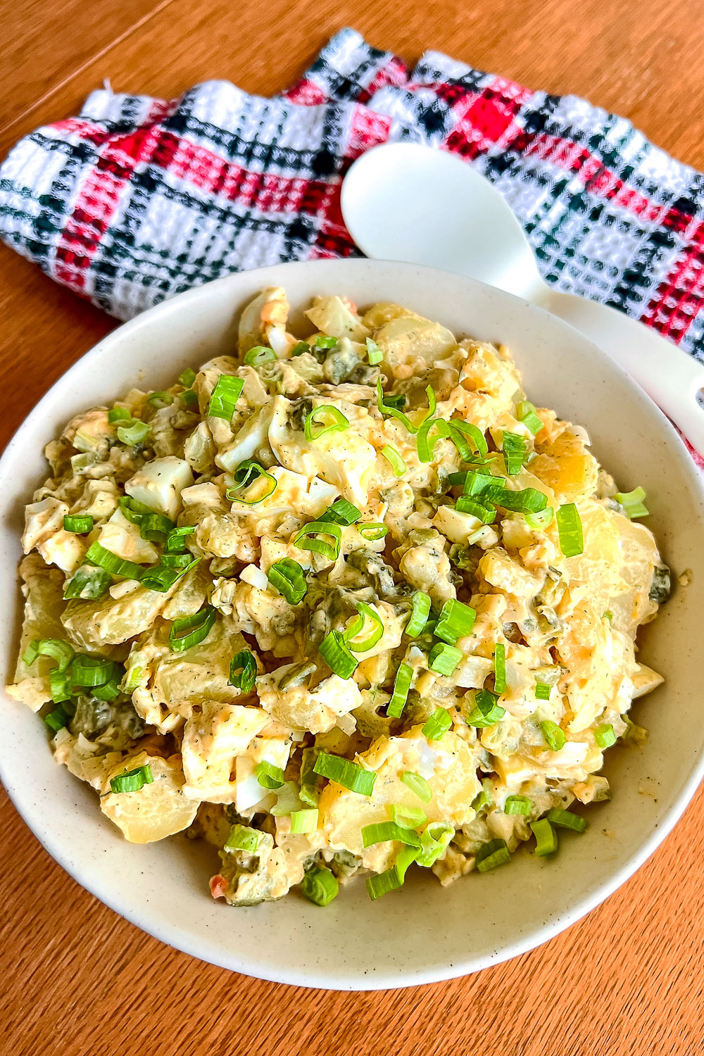 German Potato Salad on table with red and black towel0