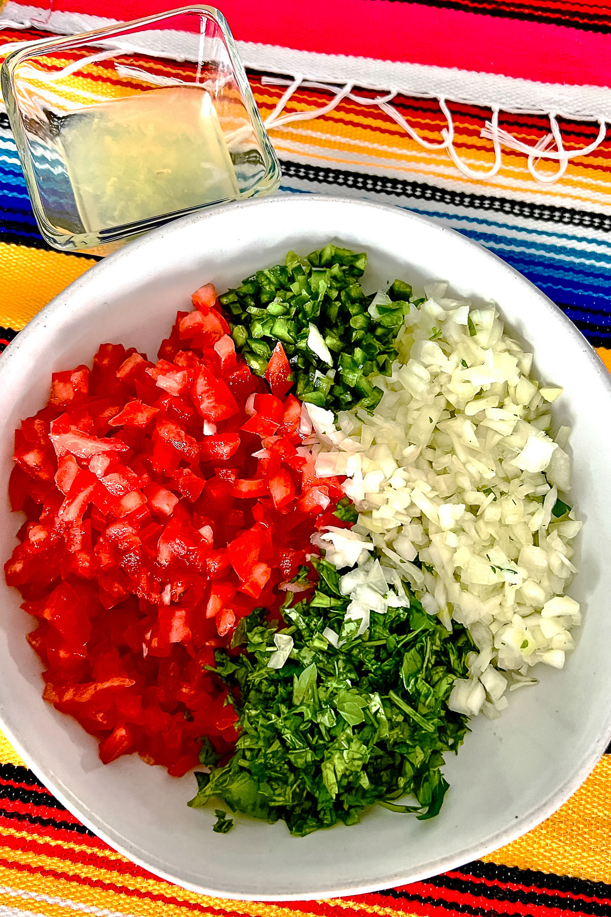 Ingredients for Pico de gallo in a bowl0