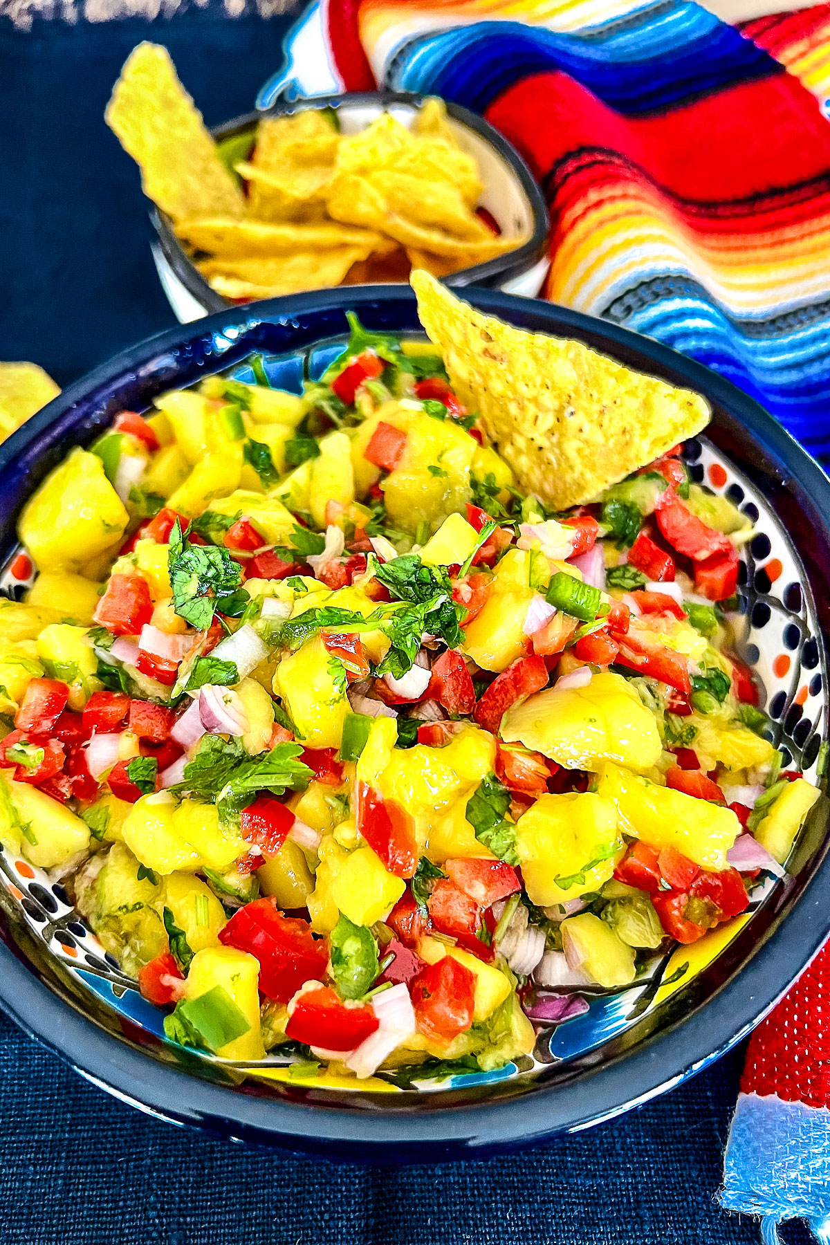 Mango Salsa in a bowl vertical image
